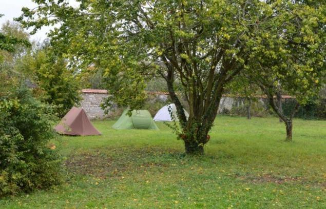 Campsite Fontaineblhostel & Near Fontainebleau *